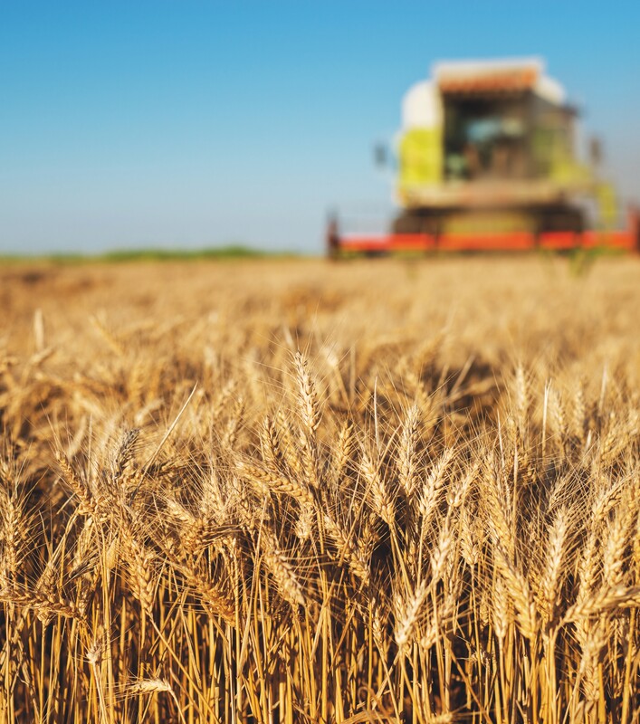 Harvest